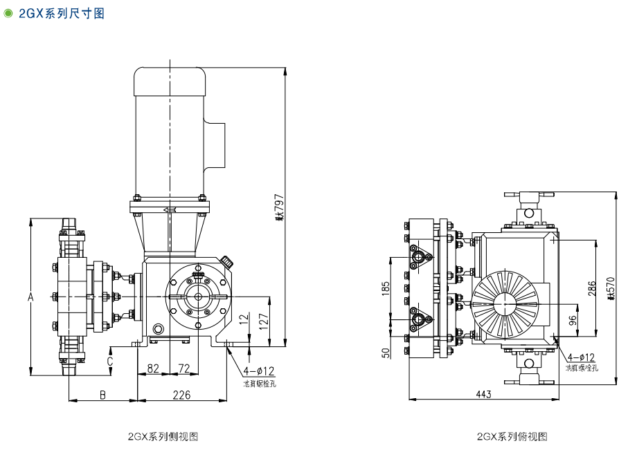 GX、2GX系列機(jī)械隔膜計量泵